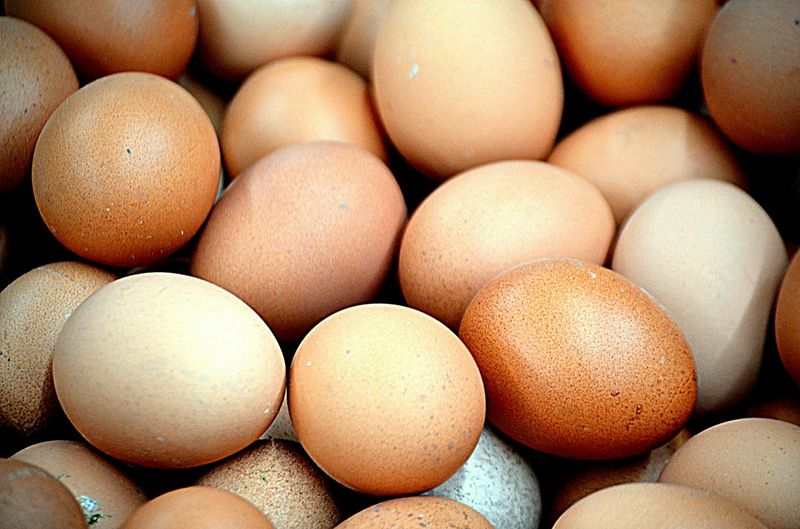 6 Lebensmittel für den richtigen Muskelaufbau