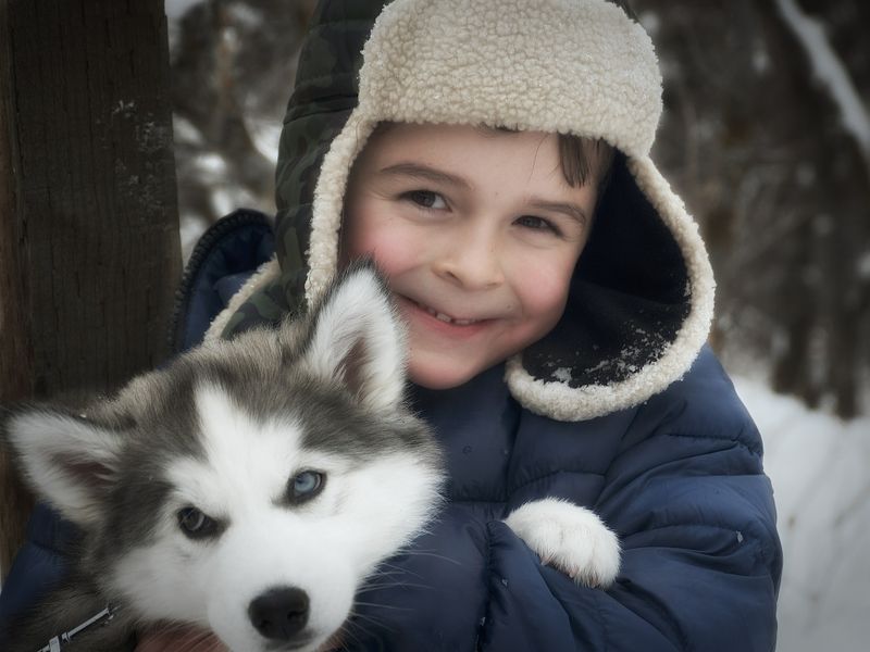 Wer mit einem Hund aufwächst ist später gesünder