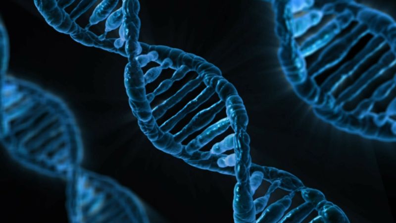 9 Möglichkeiten, wie es mit der Menschheit weitergehen könnte