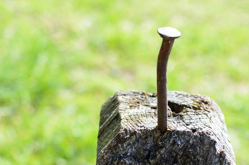 10 unglaubliche Fakten!