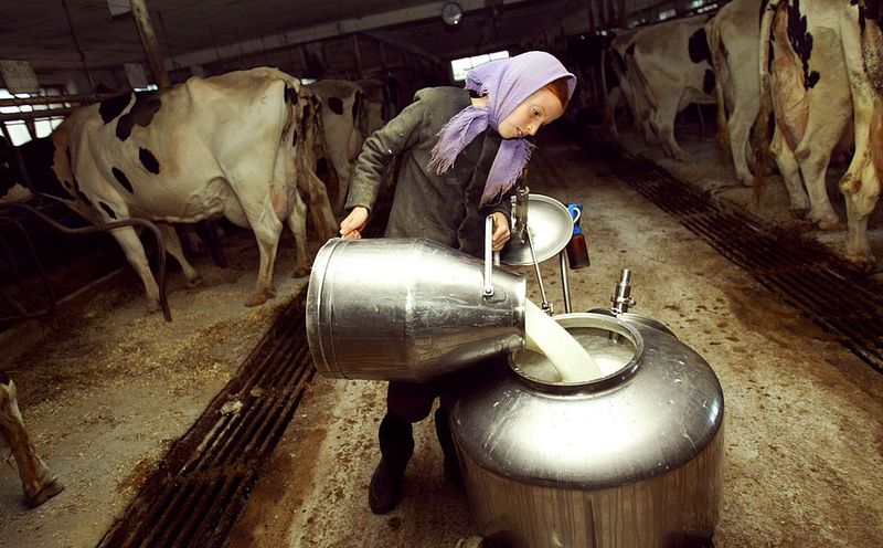 Macht uns Milch wirklich krank?
