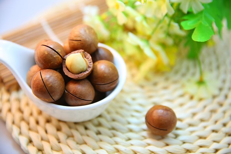 Achtung: DIESE 6 "harmlosen" Snacks bringen dein Haustier in Lebensgefahr!