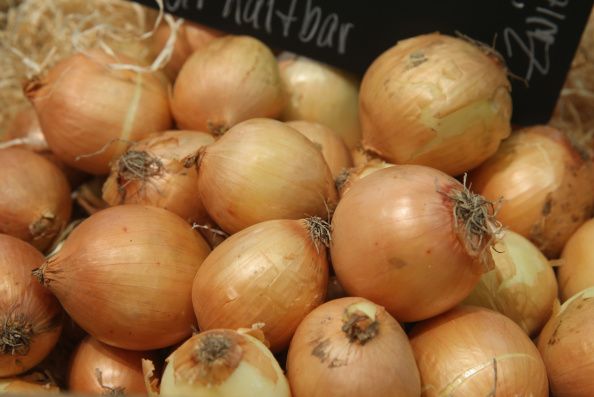 Achtung: DIESE 6 "harmlosen" Snacks bringen dein Haustier in Lebensgefahr!