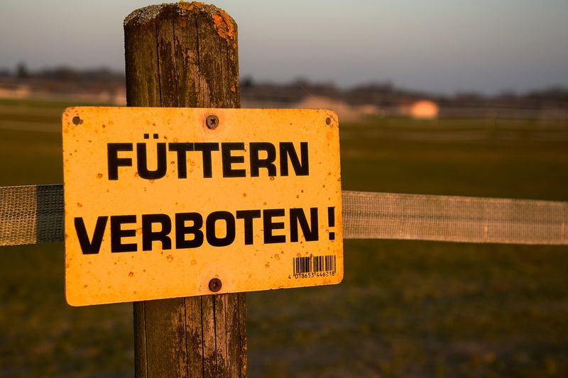 Diese 14 unanständigen Dinge möchte jeder gerne machen!