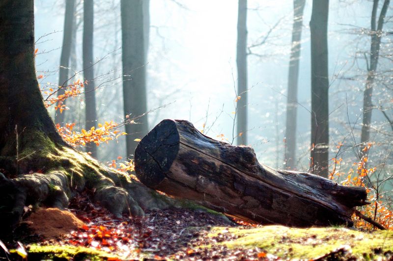 Das schwierigste Rätsel der Welt