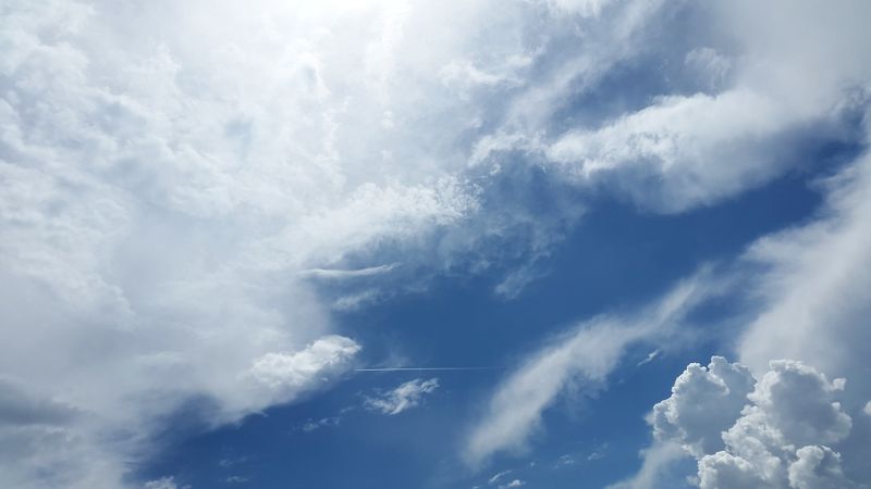 Was fliegt, wenn es geboren wird...?