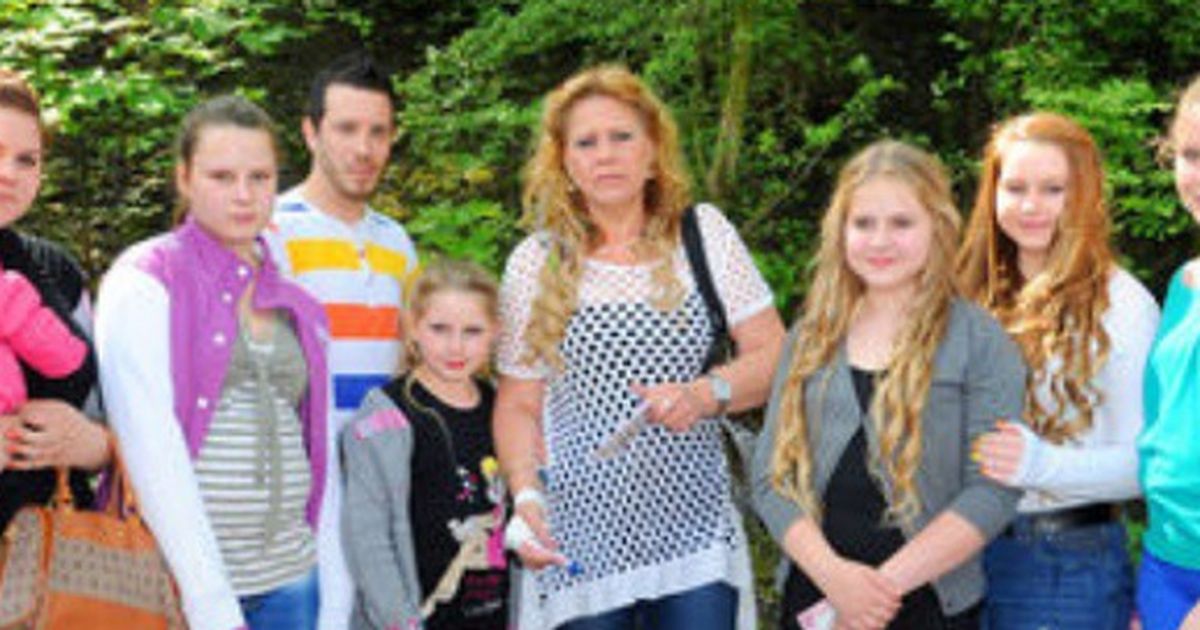 Die Wollnys Eine Schrecklich Große Familie