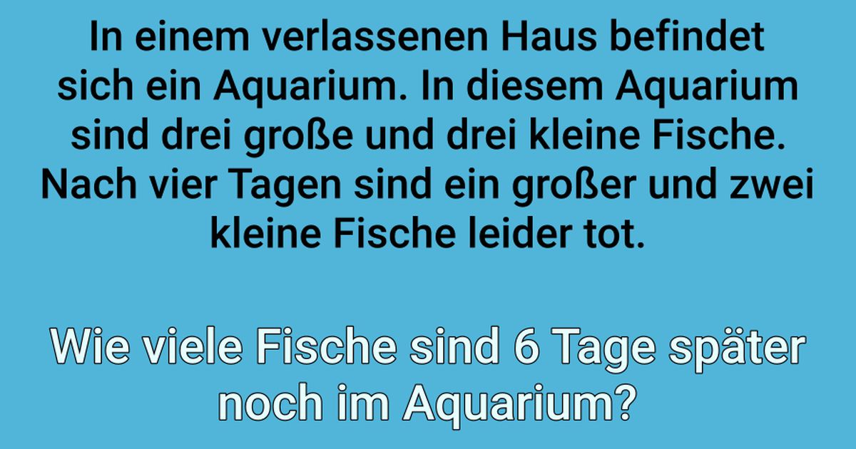 Wie viele Fische sind im Aquarium?