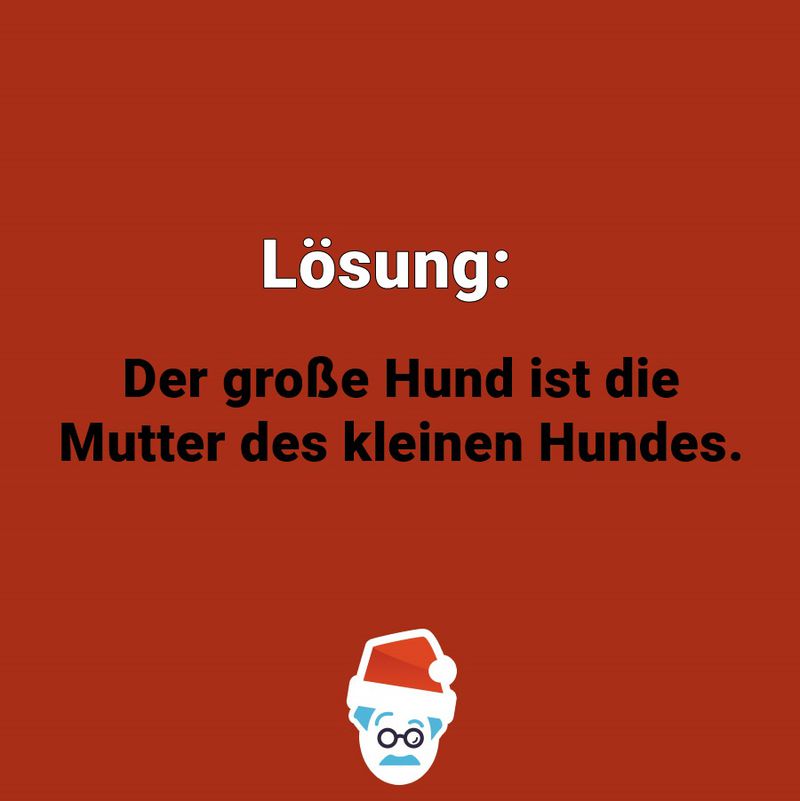 Zwei Hunde