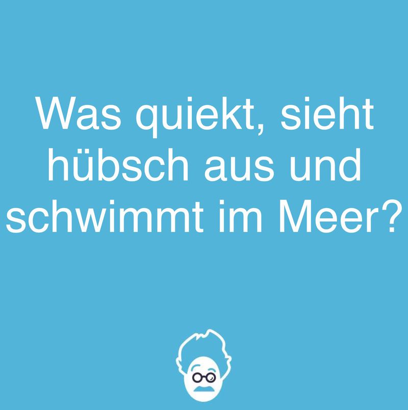 Quiekt und schwimmt!