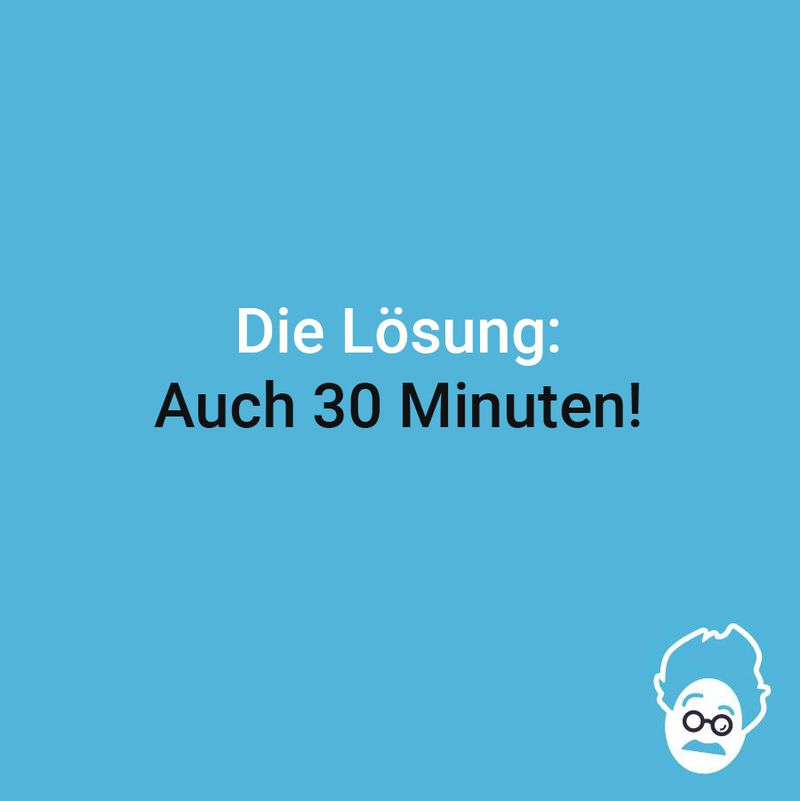 Die Geigenspieler