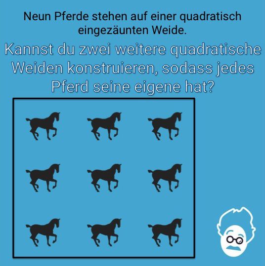 Neun Pferde