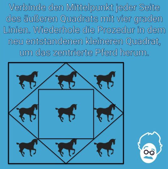 Neun Pferde