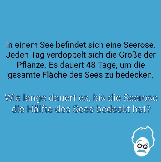 Die Seerose