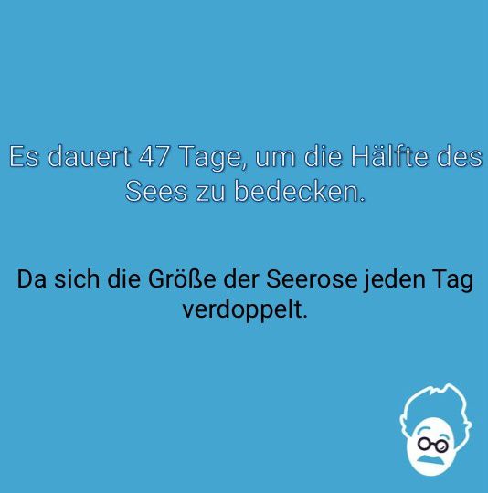Die Seerose