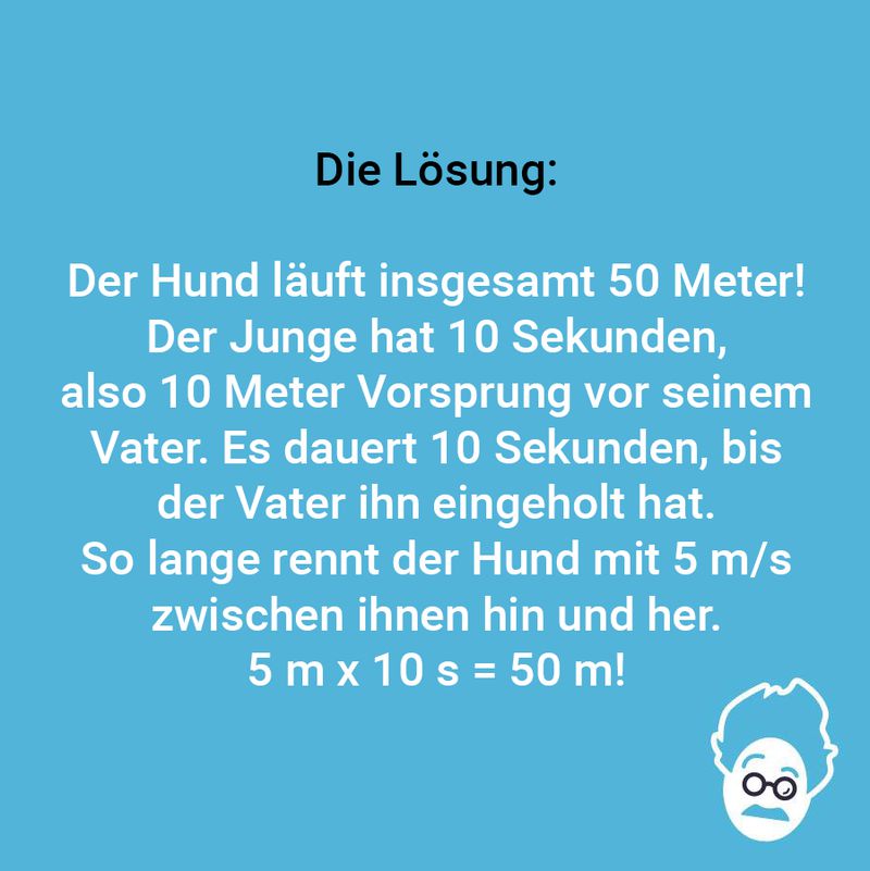 Gassi gehen