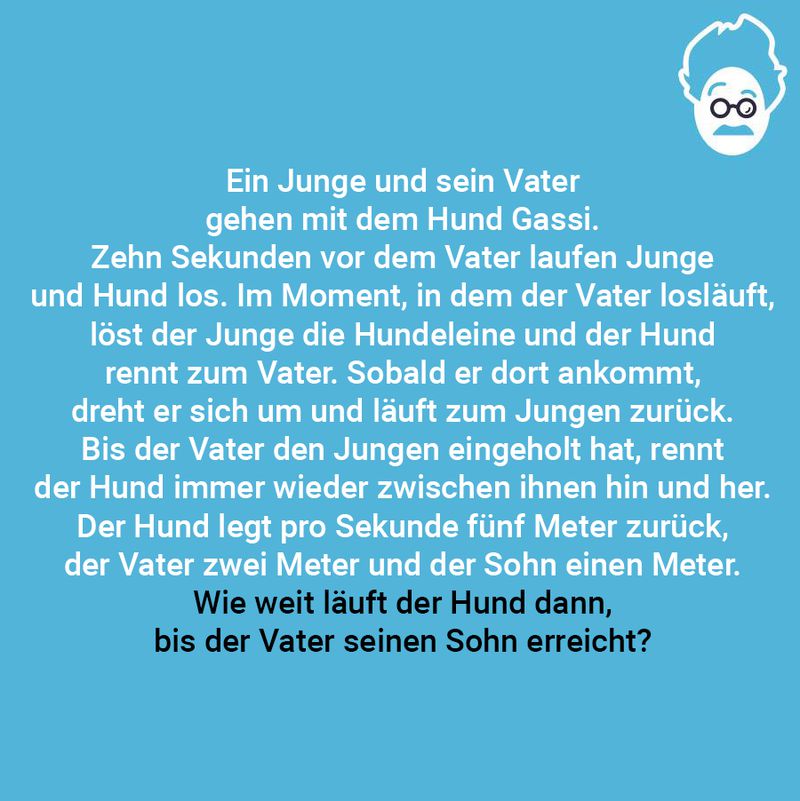 Gassi gehen