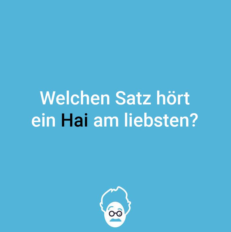 Da freut sich der Hai