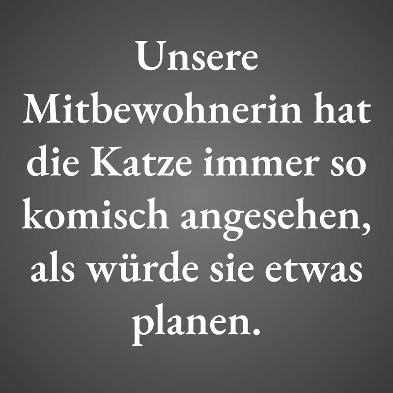 Unsere Mitbewohnerin hat die Katze immer so komisch angesehen, als würde sie etwas planen.