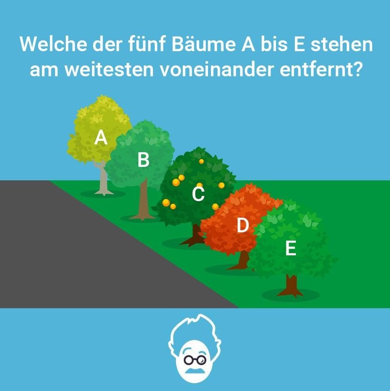 Eine bunte Baumreihe.